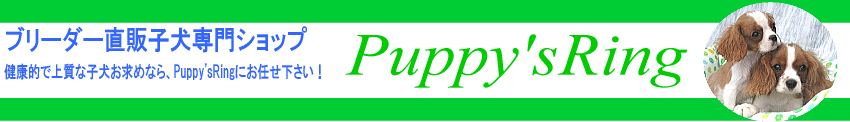 ブリーダー・子犬販売！Puppy’sRing